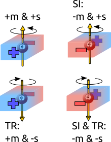 Spatial Inversion and Time Reversal symmetries in multiferroics