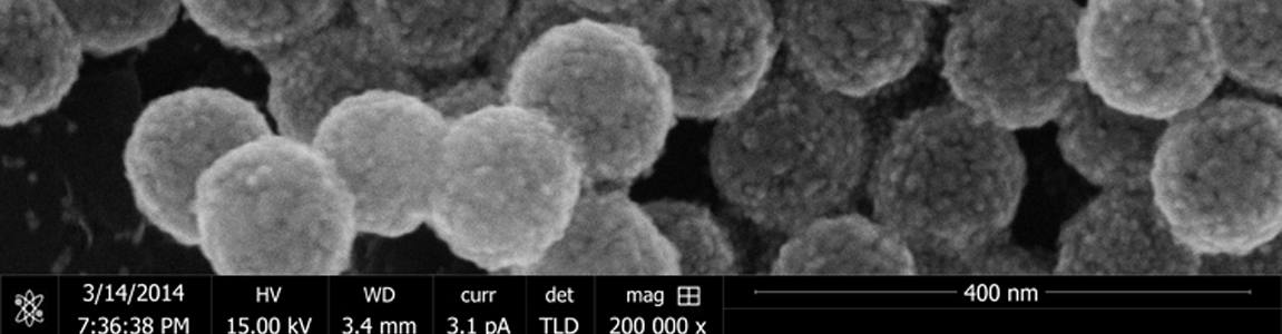 Image de microscopie électronique de nanorésonateur plasmonique