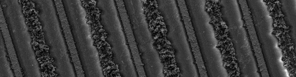 Image d'électrodes interdigitées fonctionalisées à l'échelle micrométrique
