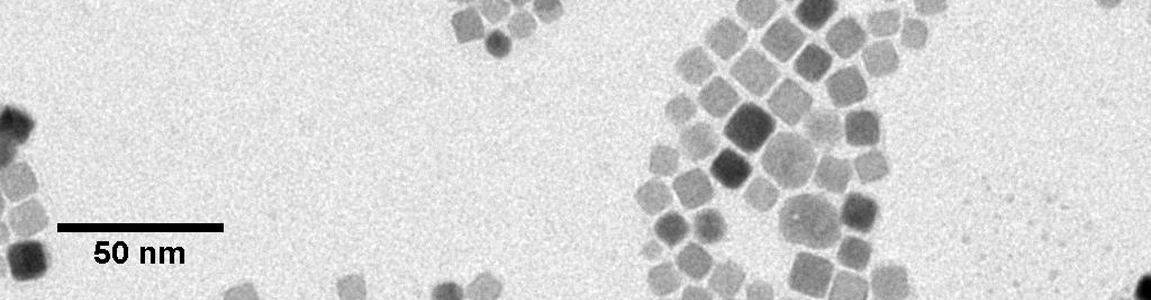 Image de microscopie électronique en transmission de de nanocubes de PbSe