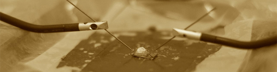 Image d'un phototransistor à base de nanoparticules connecté par des micropointes